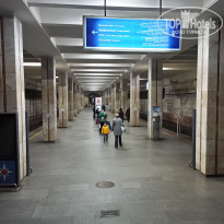 фото из отзыва ID 2273942