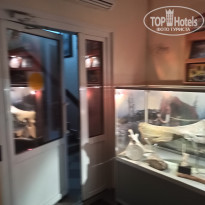 фото из отзыва ID 2273948