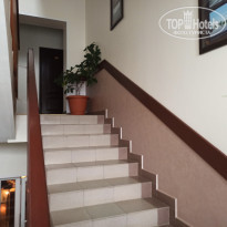 фото из отзыва ID 2273948