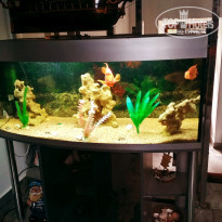 фото из отзыва ID 2273970