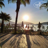 фото из отзыва ID 2273995