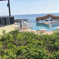 фото из отзыва ID 2274006