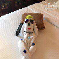 фото из отзыва ID 2274014