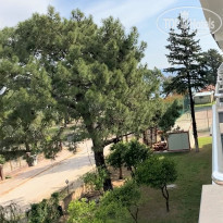 фото из отзыва ID 2274055