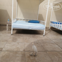 фото из отзыва ID 2274067