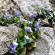 фото из отзыва ID 2274124