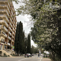 фото из отзыва ID 2274198