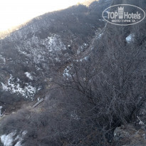 фото из отзыва ID 2274199