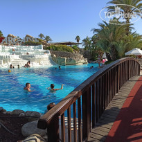 фото из отзыва ID 2274274