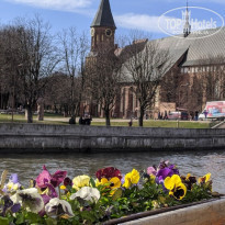 фото из отзыва ID 2274313