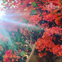 фото из отзыва ID 2274364