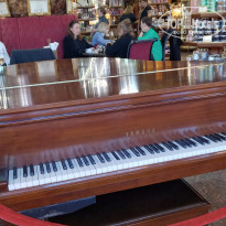 фото из отзыва ID 2274406