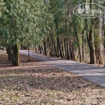 фото из отзыва ID 2274433