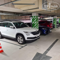 фото из отзыва ID 2274502