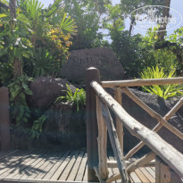 фото из отзыва ID 2274546