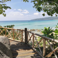 фото из отзыва ID 2274546