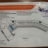 фото из отзыва ID 2274546