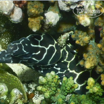 фото из отзыва ID 2274546