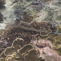 фото из отзыва ID 2274546