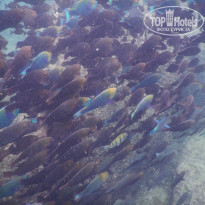 фото из отзыва ID 2274546