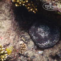 фото из отзыва ID 2274546