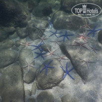 фото из отзыва ID 2274546