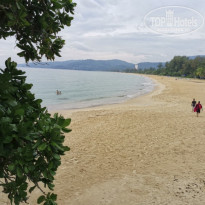 фото из отзыва ID 2274556