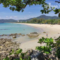 фото из отзыва ID 2274556