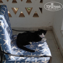 фото из отзыва ID 2274600