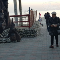 фото из отзыва ID 2274617