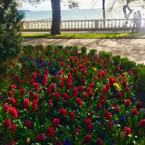 фото из отзыва ID 2274835