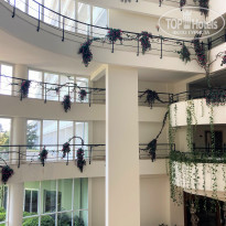 фото из отзыва ID 2274855