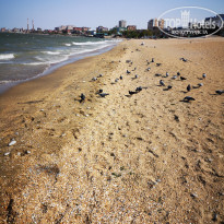 фото из отзыва ID 2274894