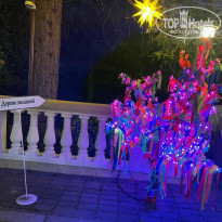 фото из отзыва ID 2275057