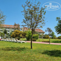 фото из отзыва ID 2275111