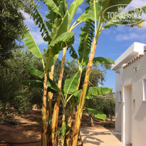 фото из отзыва ID 2275288