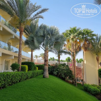 фото из отзыва ID 2275317