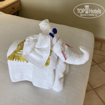 фото из отзыва ID 2275339