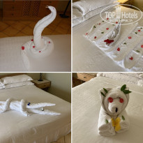 фото из отзыва ID 2275339