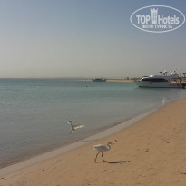 фото из отзыва ID 2275339