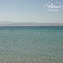 фото из отзыва ID 2275339