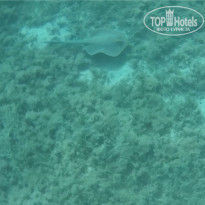 фото из отзыва ID 2275339