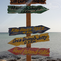 фото из отзыва ID 2275339