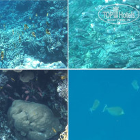 фото из отзыва ID 2275339