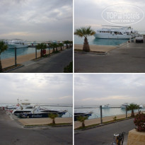 фото из отзыва ID 2275339