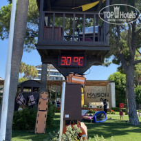 фото из отзыва ID 2275415