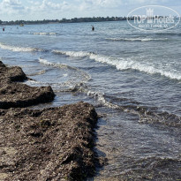 фото из отзыва ID 2275415