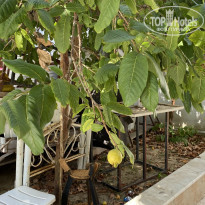 фото из отзыва ID 2275415