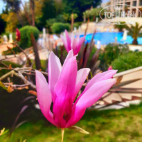 фото из отзыва ID 2275567