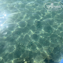 фото из отзыва ID 2275719